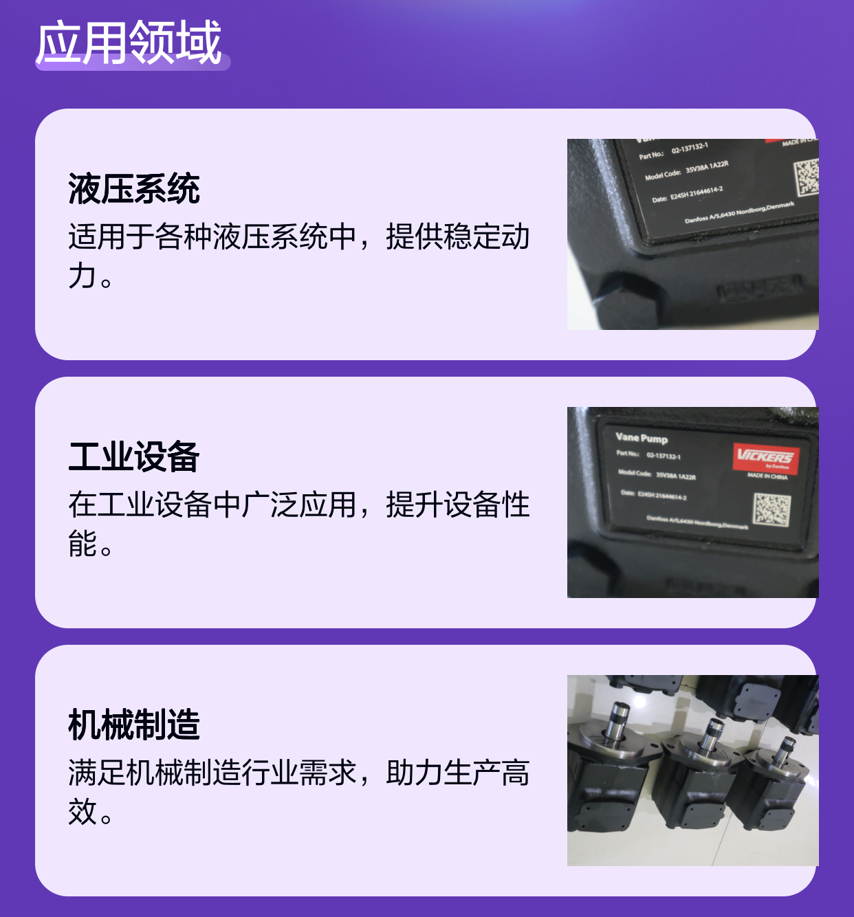 35V38A 1A22R 02-137132-1 美国威格士VICKERS DANFOSS丹佛斯叶片泵