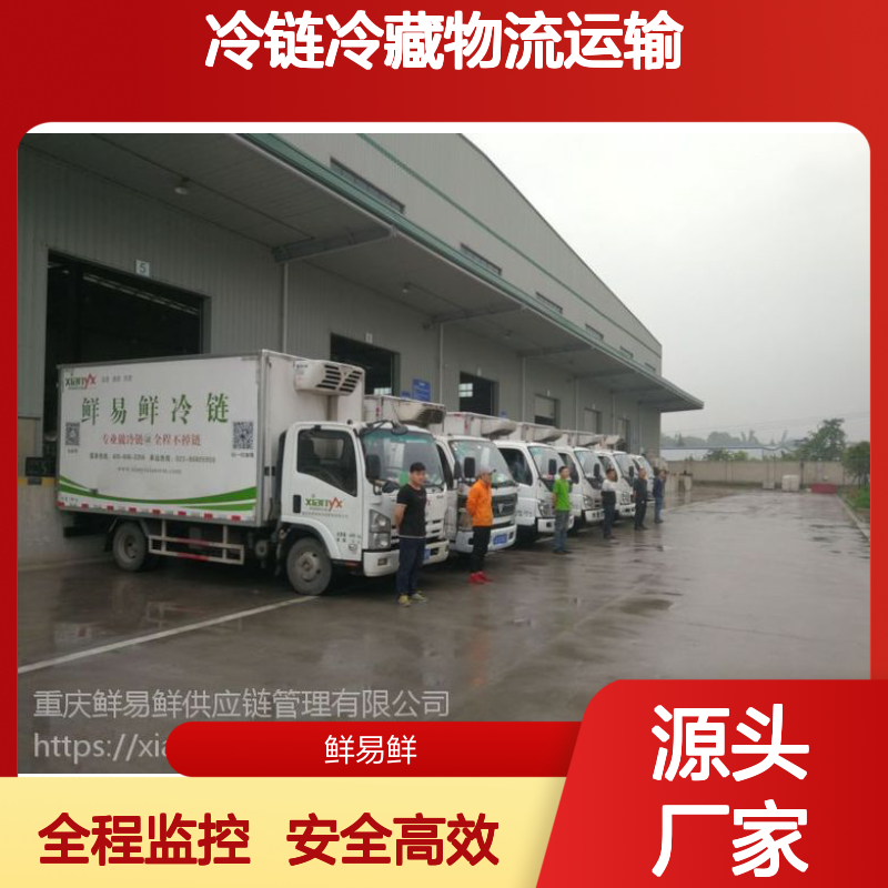 物流大件运输公司 冷链冷藏物流运输服务 国内货运专线