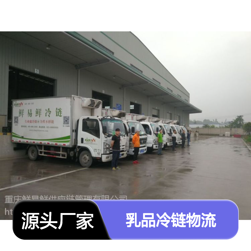 鲜易鲜冷链 乳品冷链物流 全程温控安全高效 干货冻品熟食一站式配送