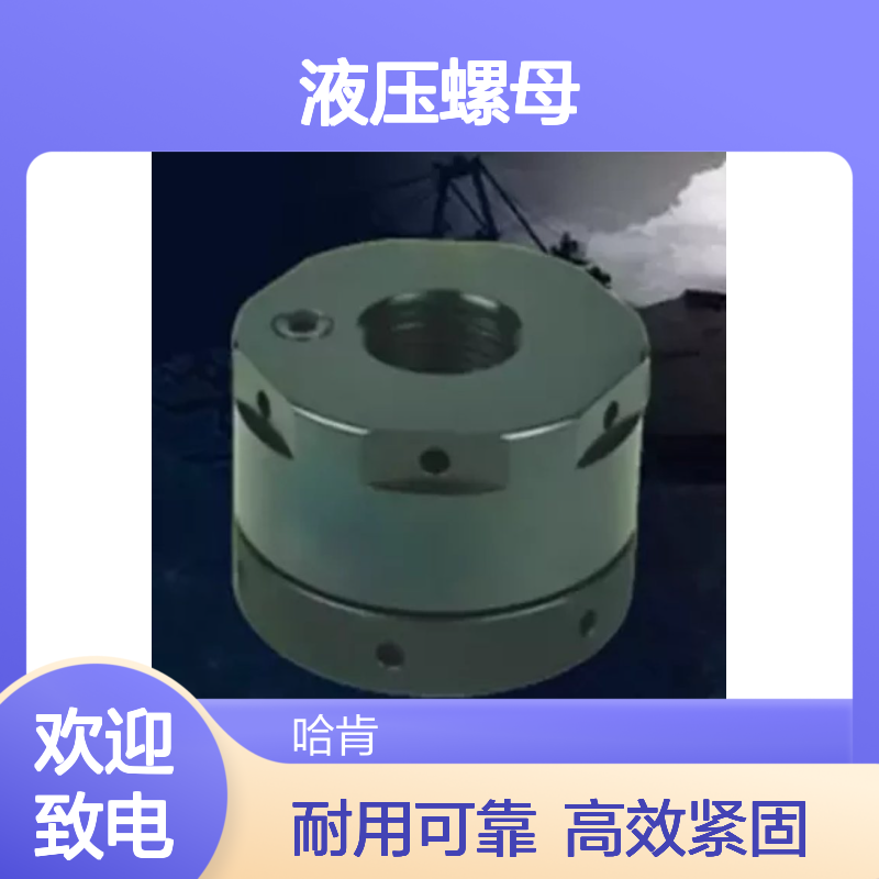 哈肯国际贸易供应 DN/HN系列-液压螺母 适合重负荷震动机械紧固
