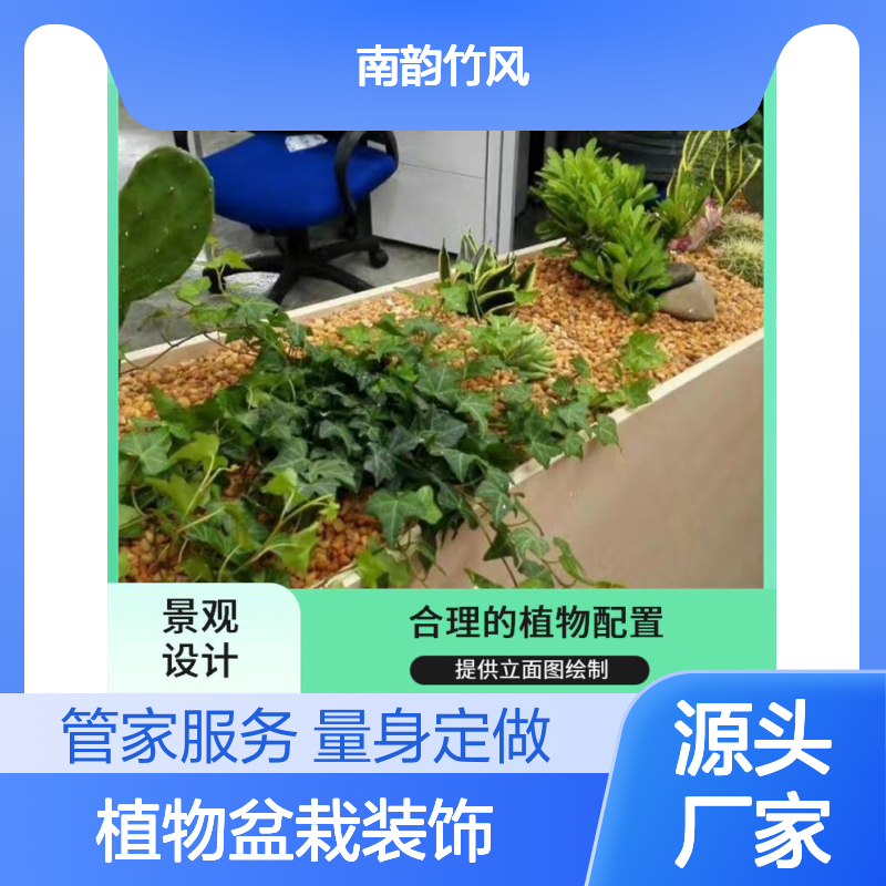 南韵竹风 植物盆栽 室内景观施工图设计 优良选材
