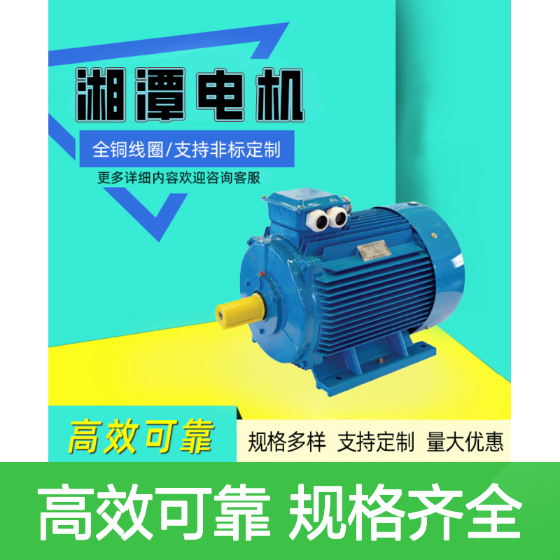 湘1潭2电机TL立式同步电动机水泵配套推力轴承结构