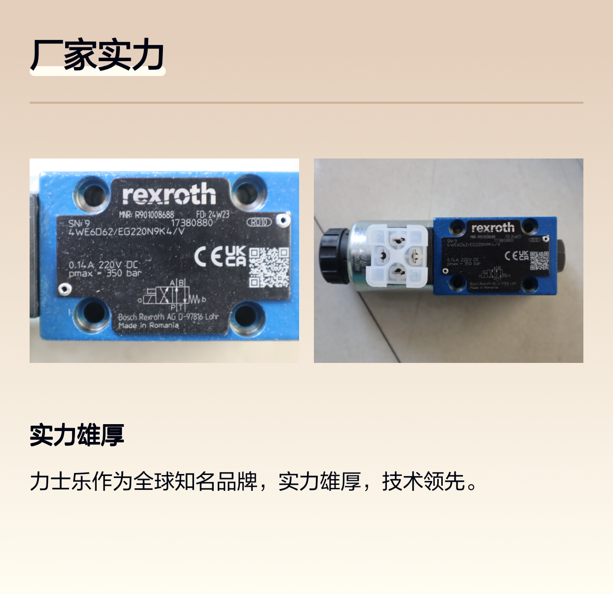 4WE6D6X/EG220N9K4/V R901008688 德国力士乐REXROTH电磁阀