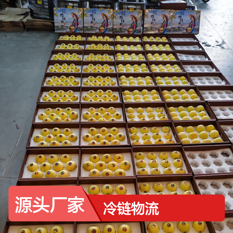 鲜易鲜冷链 维纳斯黄金苹果 冷链物流标准化配送 新鲜直达