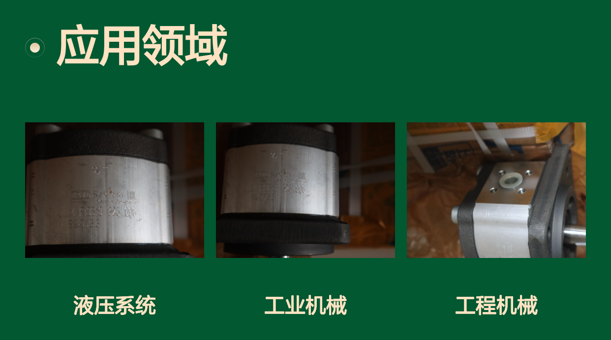 0510325006 AZPF-11-005RCB20MB 德国力士乐REXROTH齿轮泵