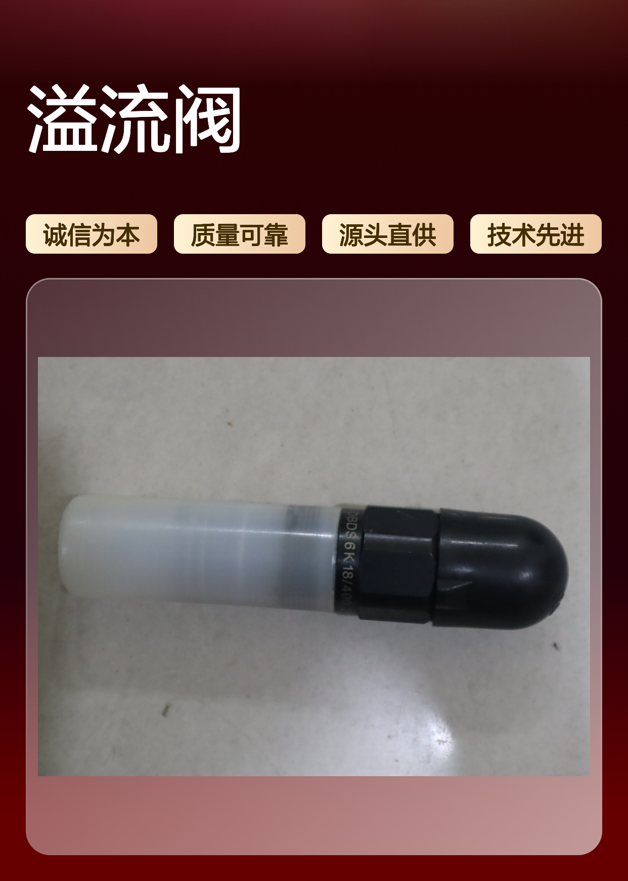 R900420245 DBDS6K1X/25 DBDS6K18/25 德国力士乐REXROTH溢流阀