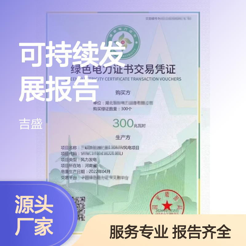 国网招投标绿色资质报告 含可持续发展 内容全面