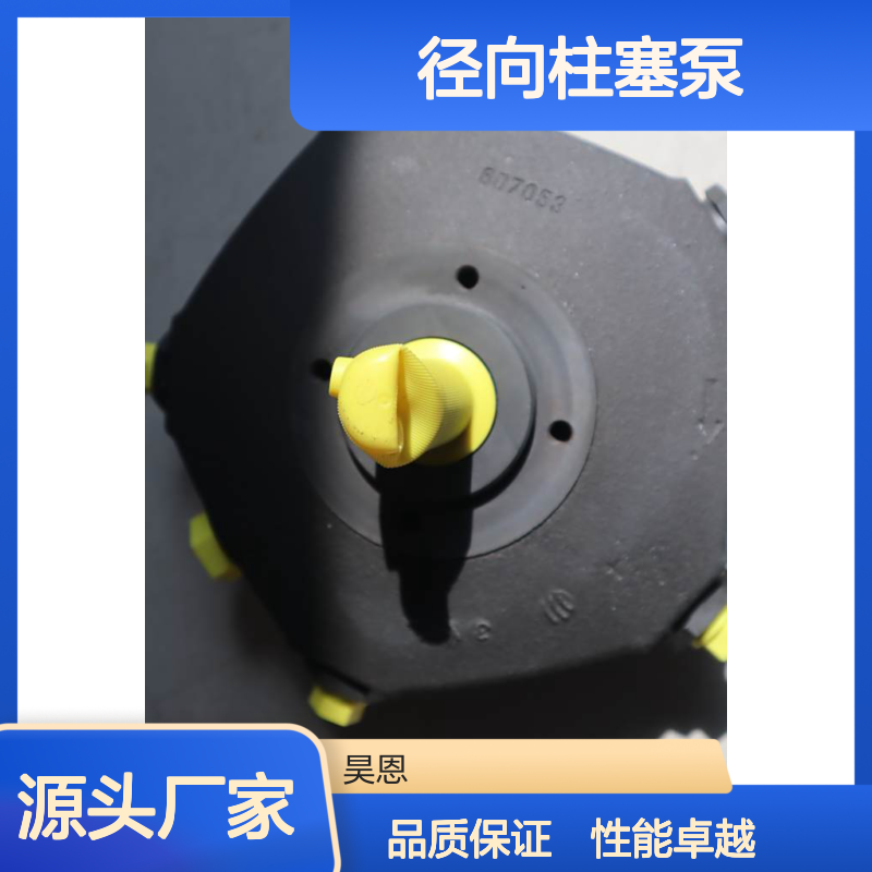 PR4-30/3.15-700RA01M08 R901088622 德国力士乐REXROTH径向柱塞泵