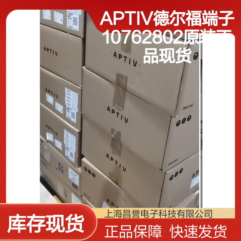 APTIV德尔福端子10762802 原装正品现货 国内代理货源可追溯