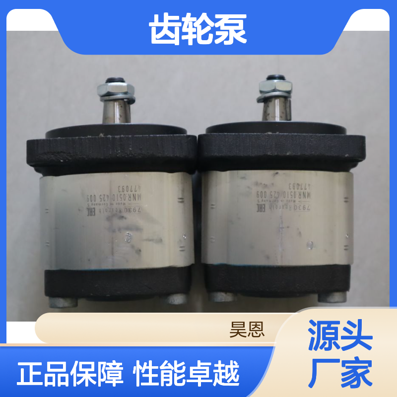 0510425009 AZPF-11-008RCB20MB 德国力士乐REXROTH齿轮泵