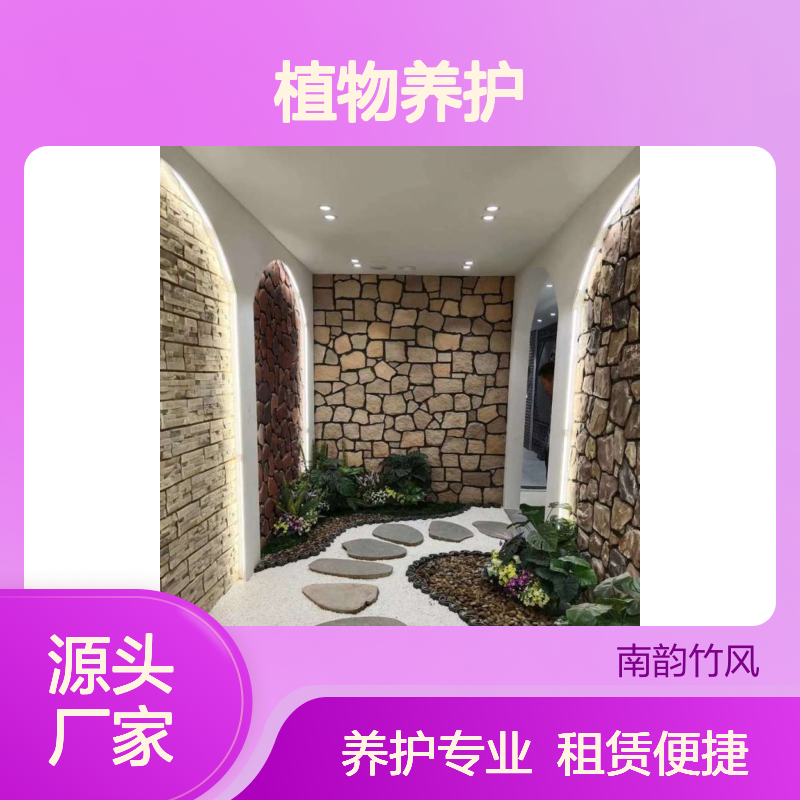 南韵竹风 植物租赁养护服务 品种多样 成活率高