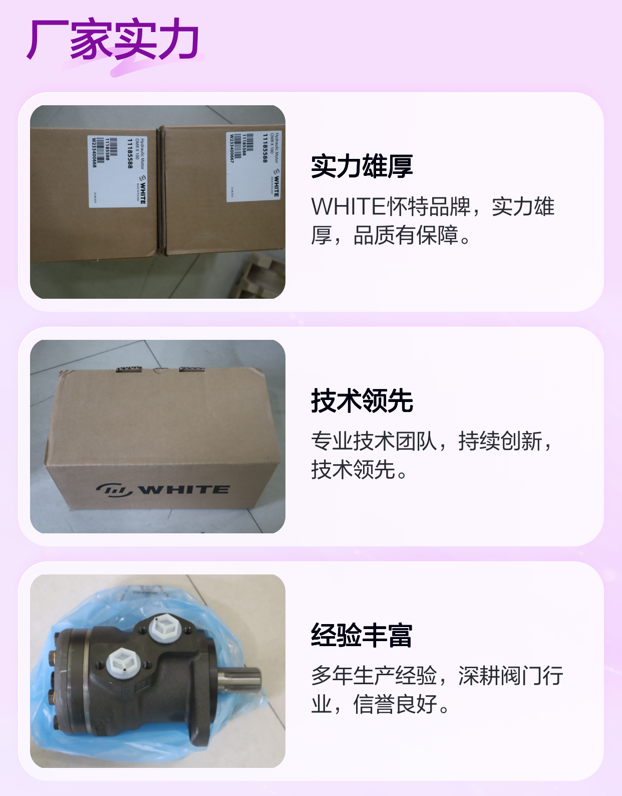 WHITE怀特OMRX100 11185588蓝色铸铁气动阀门