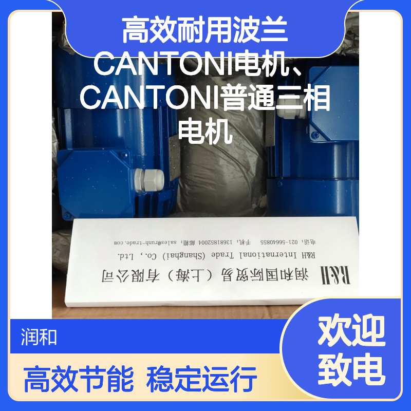 波兰CANTONI高效耐用电机 14N1A06A05型号 电力单元控制