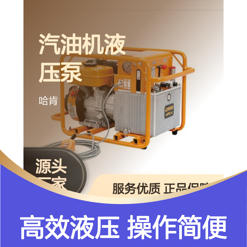 哈肯供应HPE-160 日本IZUMI总代理汽油机液压泵