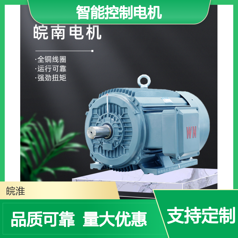 安 徽智能控制电机 工厂直营 皖南电机 规格可选