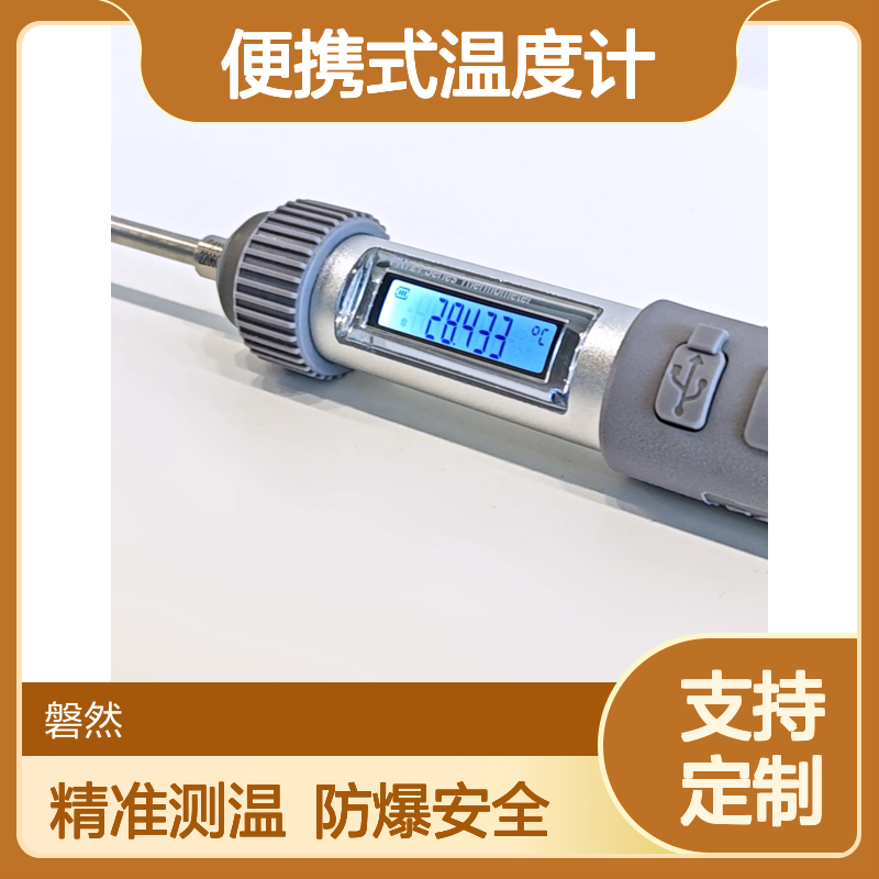 便携式温度计 数字显示 探针式 探头式 加长探杆式 支持定制 防爆 磐然