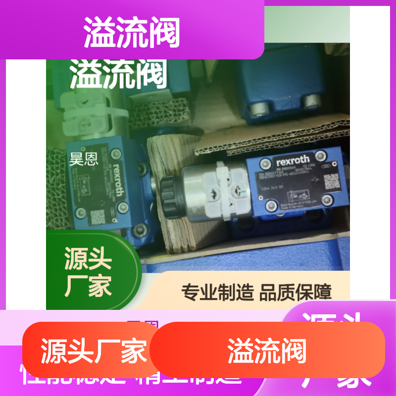 DBW20B1-52/315-6EG24N9K4 R900920619 德国力士乐REXROTH溢流阀