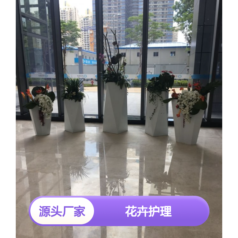 南韵竹风花卉租摆 多年经验成活率高 品质如一