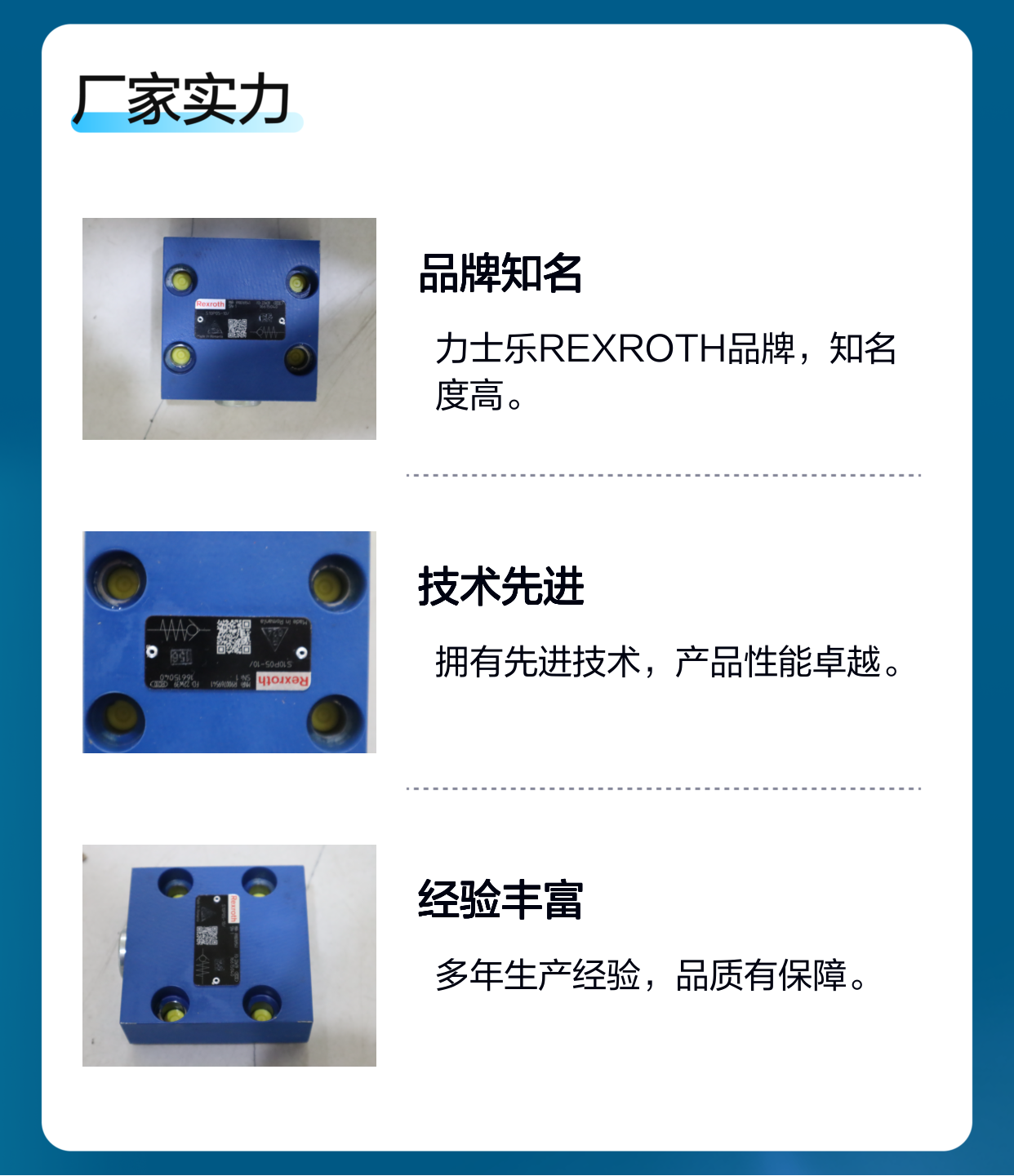 S10P05-10/ S10P05-1X/ S10P05-11/ R900769541 力士乐REXROTH单向阀