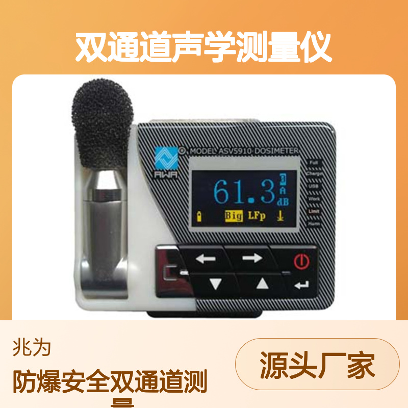 ASV5910本安型个人声暴露计 双通道声学测量仪