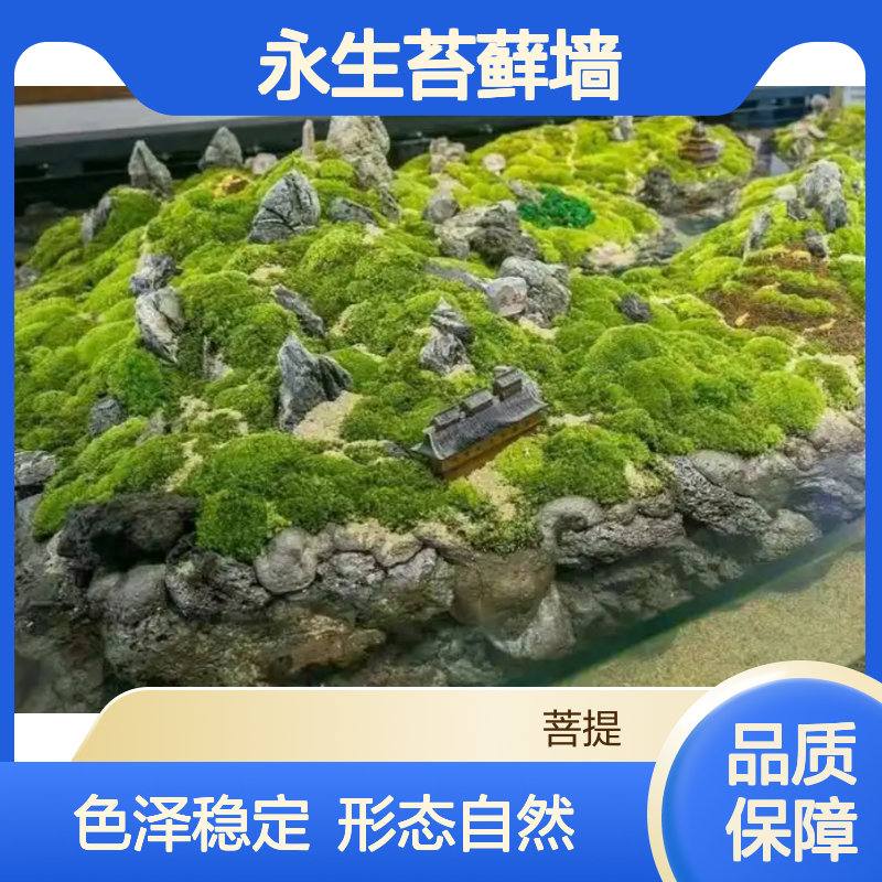 菩提 永生苔藓墙 色泽保持稳定 保留自然形态 发往扬 州 可定制 仿真植物
