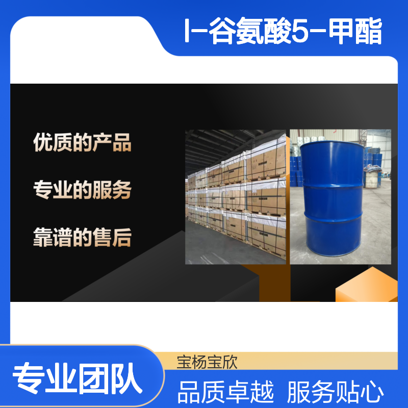 L-谷氨酸甲酯 L-谷氨酸5-甲酯 USP优等品 宝欣生物定制