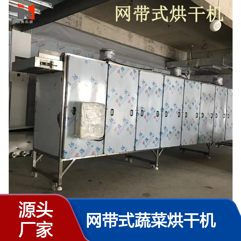 多层网带式蔬菜烘干机 洋葱干燥机 电加热大蒜片烘干设备 源头厂家
