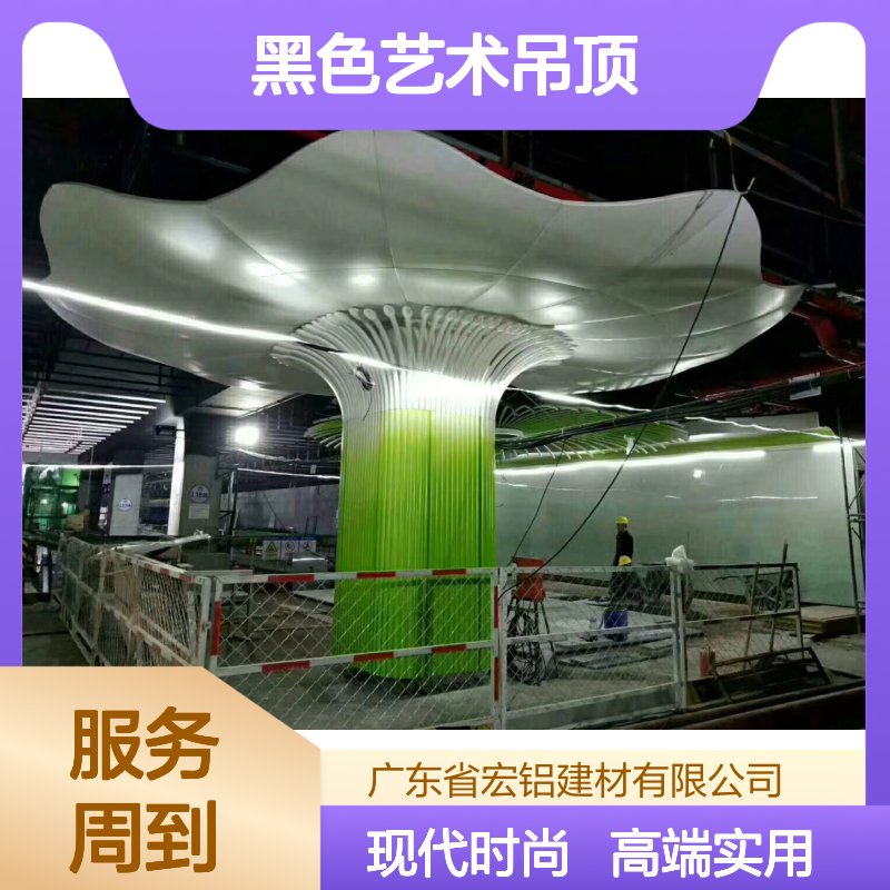 黑色艺术吊顶：营造未来家居的神秘与优雅氛围 施工配件 丝杆