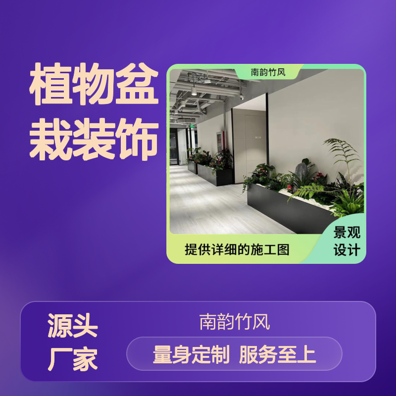 南韵竹风 植物盆栽装饰 绿化工程 技艺精湛 设计一体