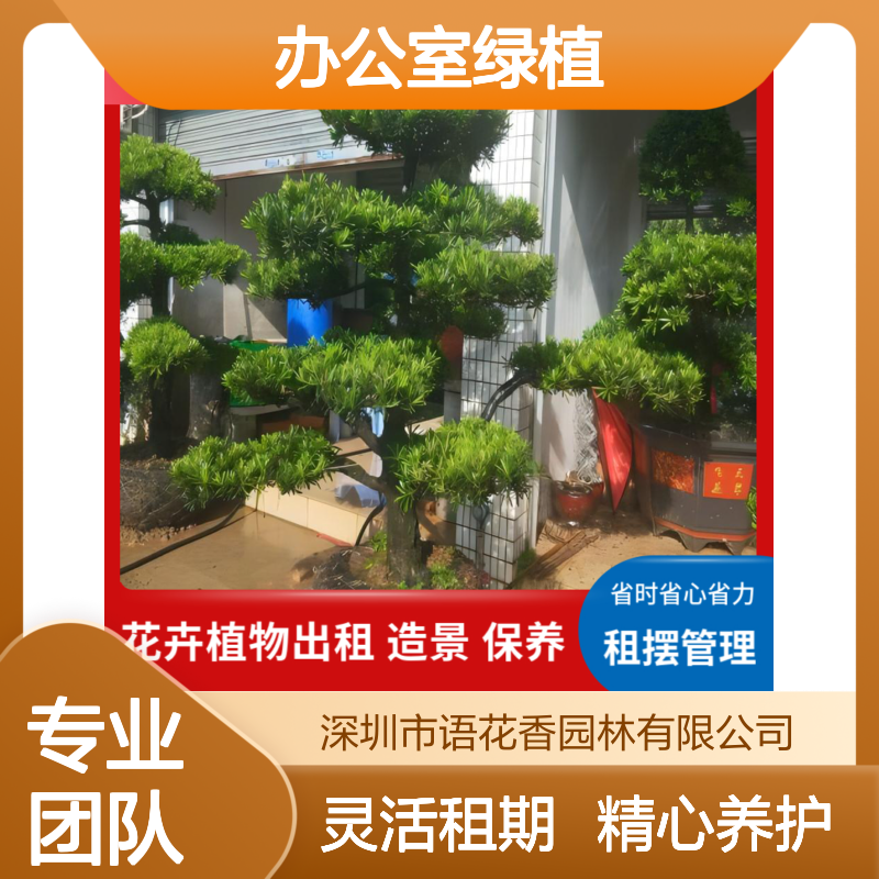 商业中心花卉绿植租赁 办公室上门养护出租 室内外造景设计服务