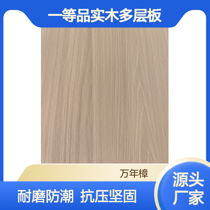 万年樟一等品实木多层板 UV漆耐磨防潮 抗压强度高