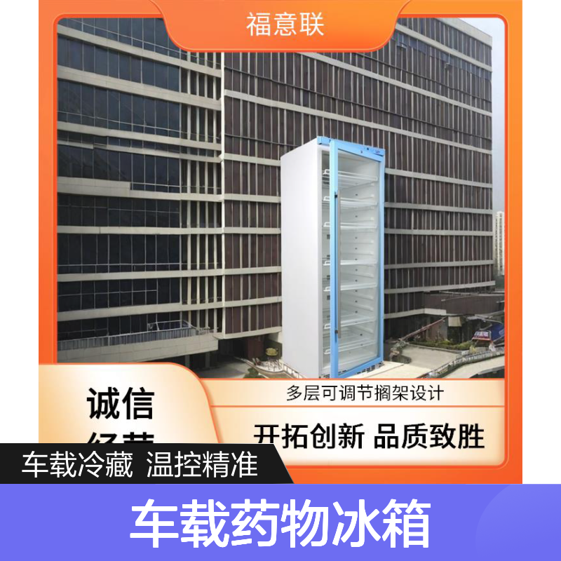 车载药物冰箱冷藏冷冻温度可调节带温度纪录