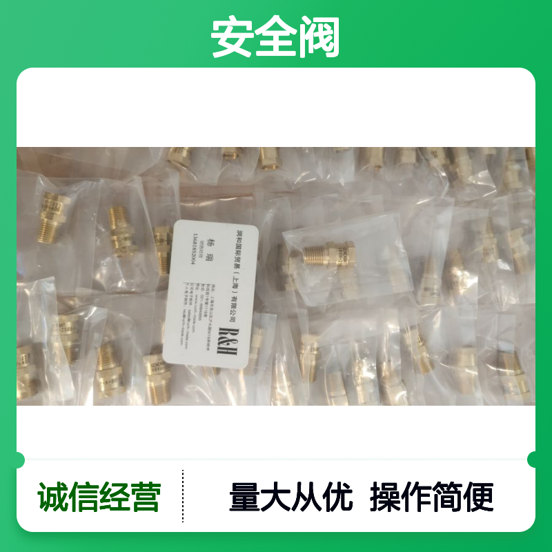 美国GENERANT安全阀 直动式压力泄压阀 工厂预置裂缝压力规格