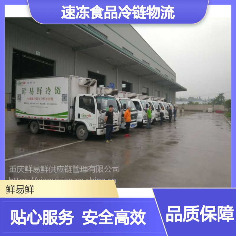 广州佛山到成都冷冻物流 冷藏冷冻运输 药品配送 速冻食品冷链物流