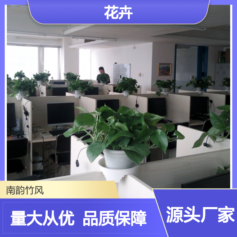 南韵竹风花卉租赁 适用于多场景摆放 成活率高