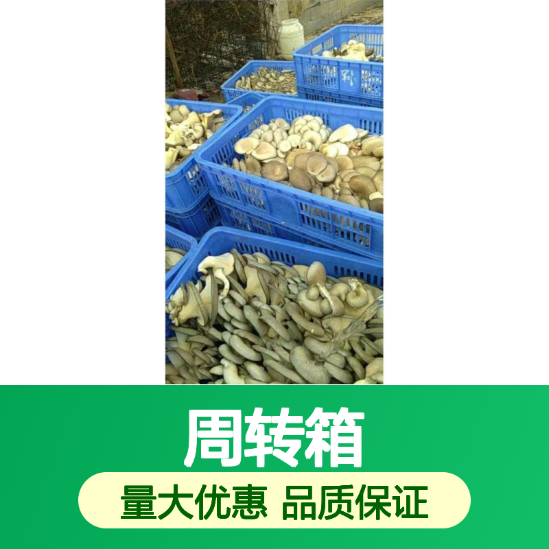 乔丰周转箱 塑料大白桶 PE材质 经久耐用 抗压防摔