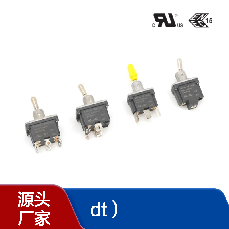 20(8)A125/250V~T55 单刀单掷（SPST）钮子开关