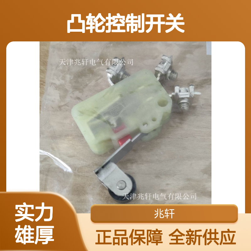 常年供应 BNS 300-01ZG-2230 2,0M凸轮控制开关 正品全新