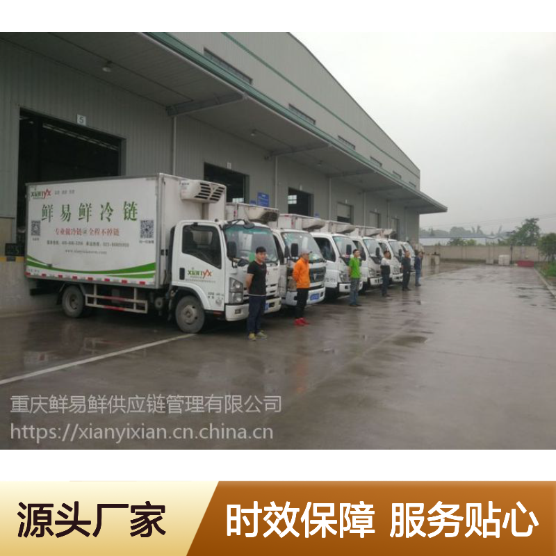 广东鲜易鲜冷链物流公司 蔬菜生鲜冷藏冷冻冷链运输 时效快服务好