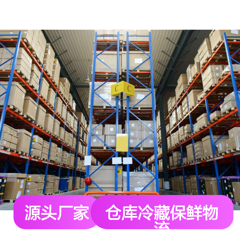 仓库冷藏保鲜物流 5000m2至20万m2仓储托管 短租带月台服务