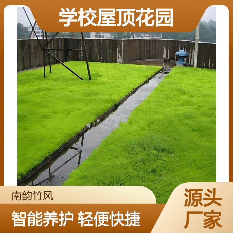 别墅绿化 学校屋顶花园 轻便快捷 智能养护 免去后顾之忧