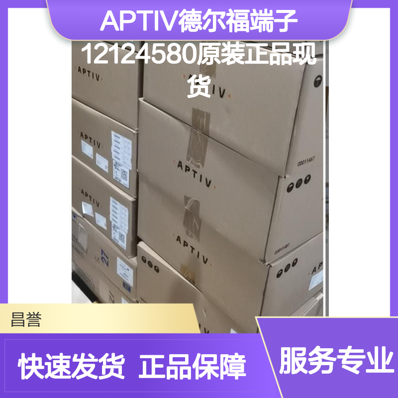 APTIV德尔福端子12124580 原装正品 现货直发 电子连接必备