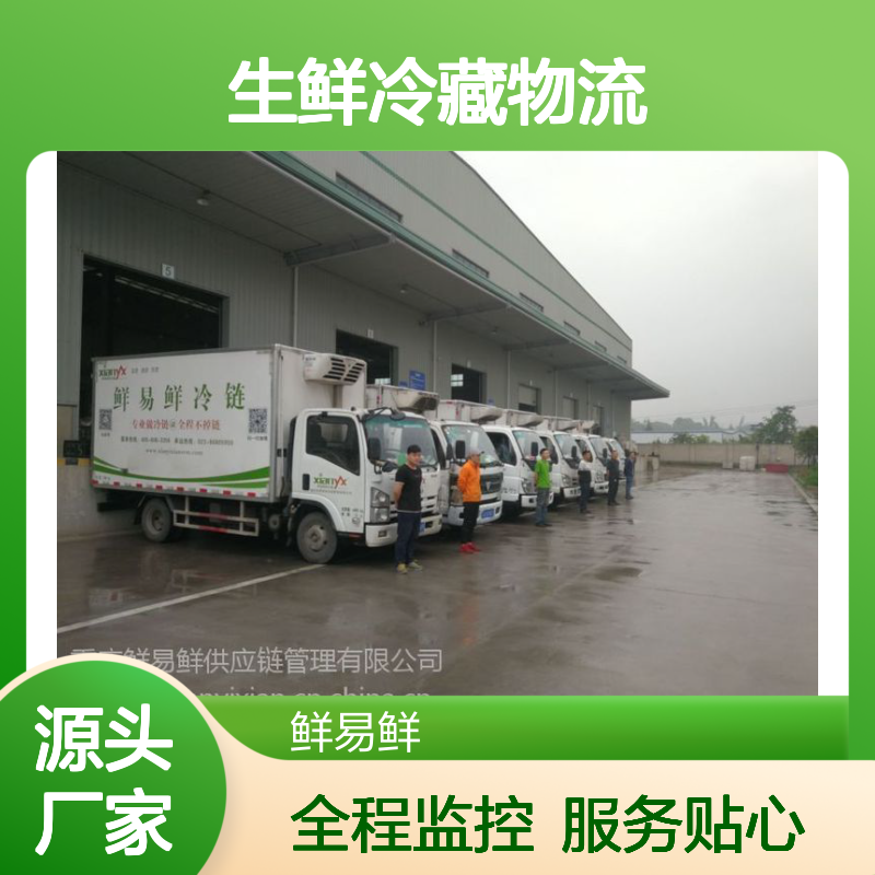 1-3天时效 冷链物流公司 生鲜冷藏物流大件货物运输