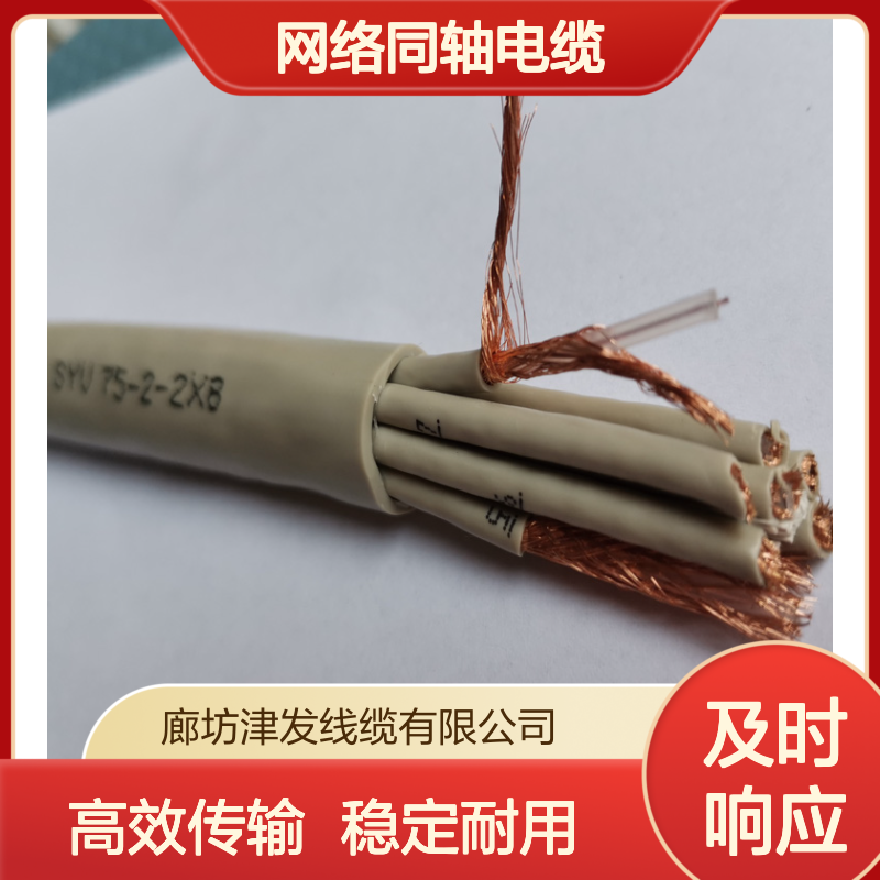联移动通信基站两兆线SYV-75-2-2*8网络同轴电缆