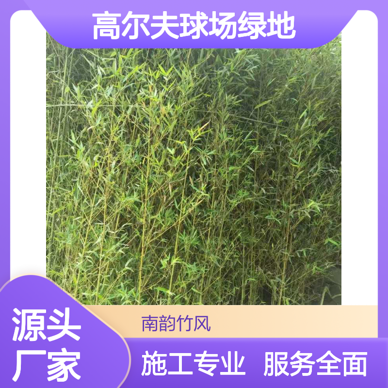高尔夫球场绿地施工养护 全方位服务 环保理念