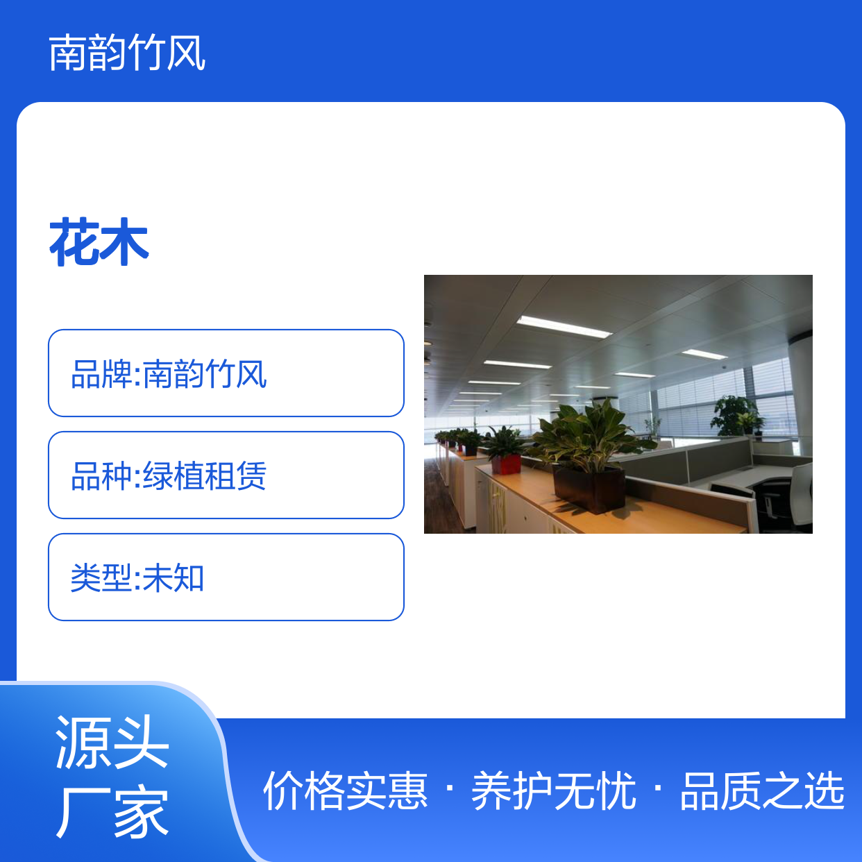 南韵竹风 花木租赁 绿植盆栽供应 品种多样 成活率高