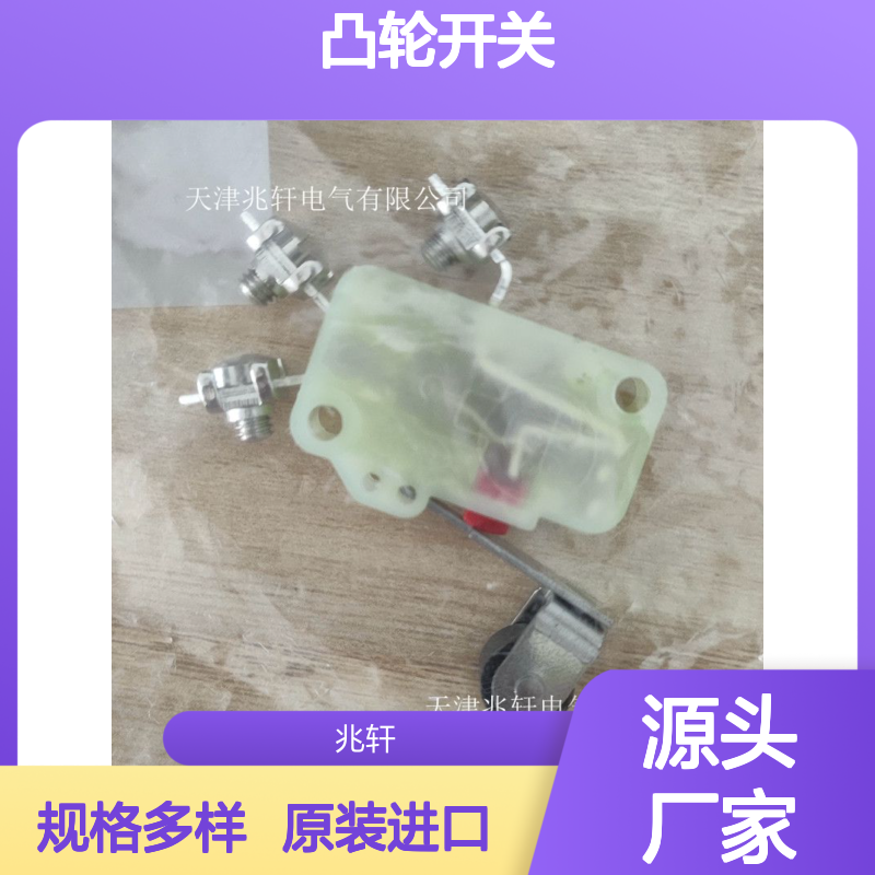 施迈赛安全锁 原装进口 凸轮开关AZI161SK-12/12RK-I16-24V规格多样