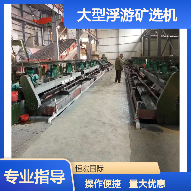 大型浮游矿选机 BF型精矿设备 可变频硅砂矿选矿机器 恒宏机械定制款