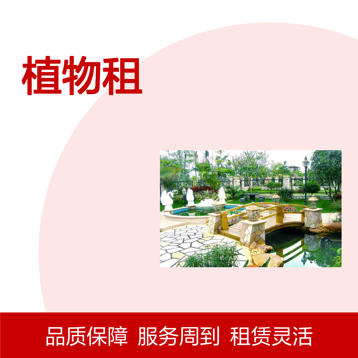南韵竹风植物租赁服务 承接绿化工程 品种多样