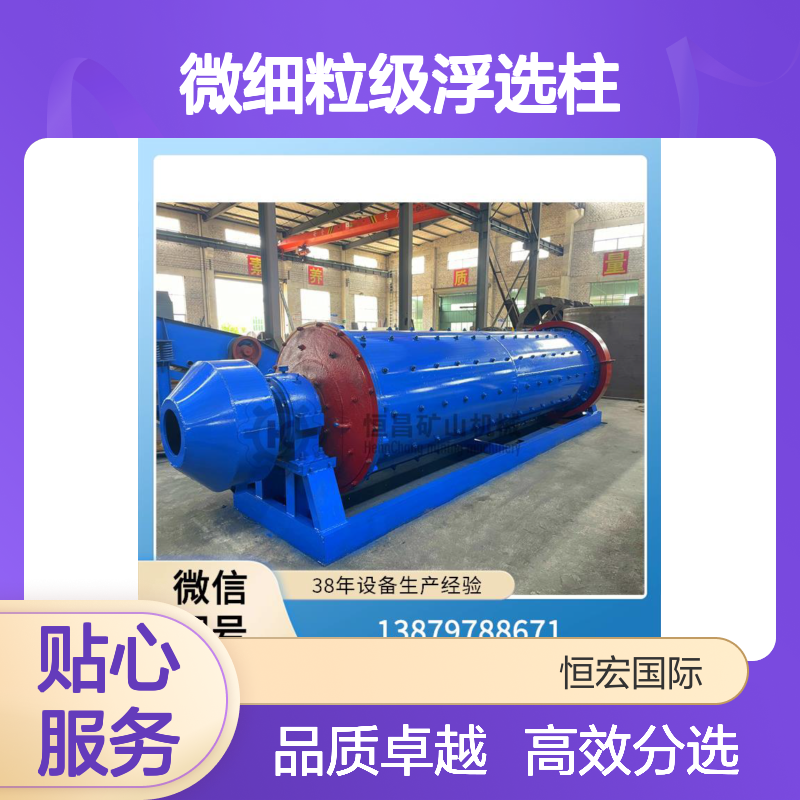 砂锡矿选矿设备 微细粒级浮选柱强化分选设备选金矿设备
